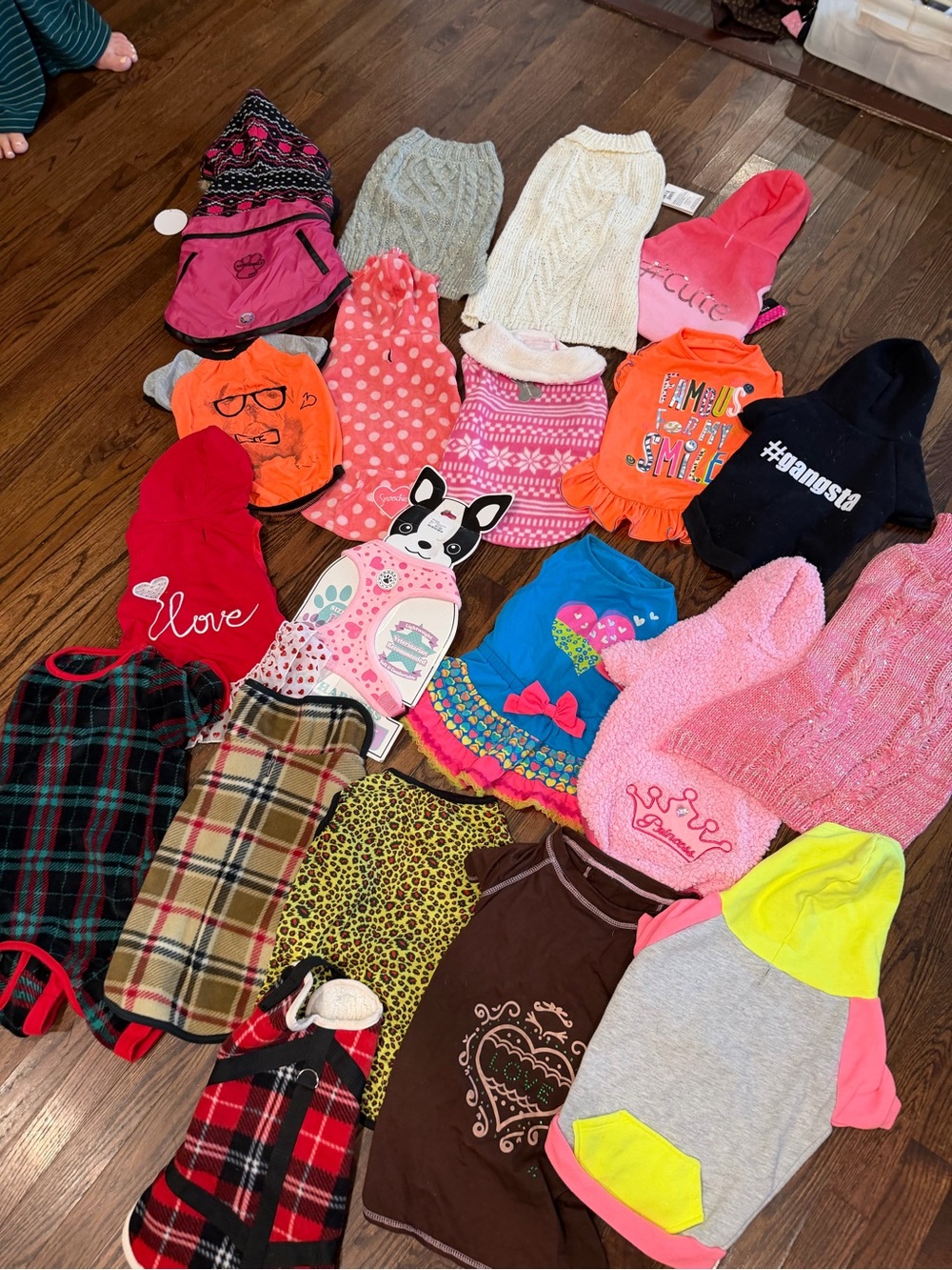 Large Dog Clothes – Bundles 🐾